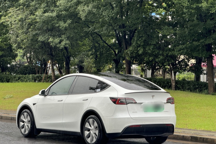 Tesla Model Y 2022 #7 Tesla Model Y 2022 car image #7