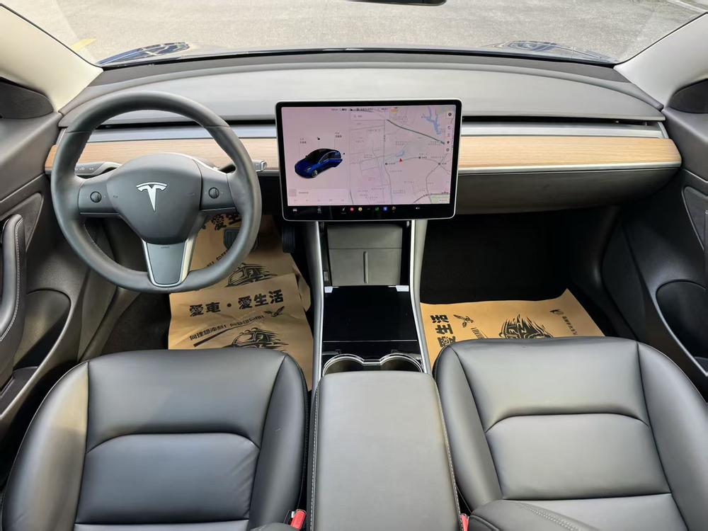 Tesla Model 3 2020 car image #13