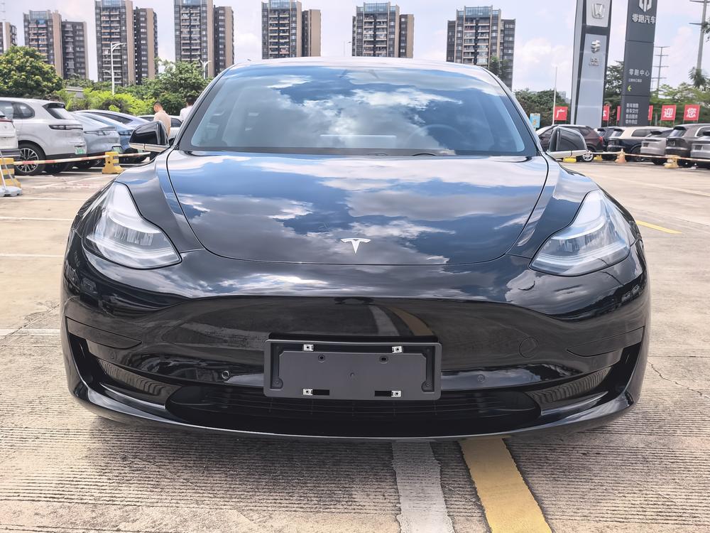 Tesla Model 3 2020 car image #2