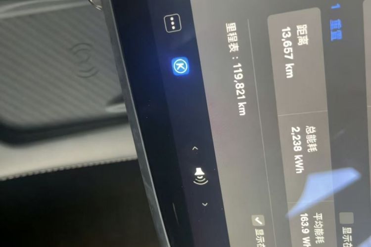 Tesla Model Y 2021 car image #12