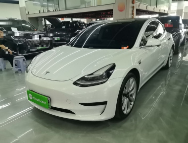 Tesla Model 3 2020 car image 
