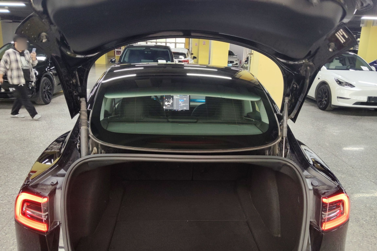Tesla Model 3 2023 car image #19