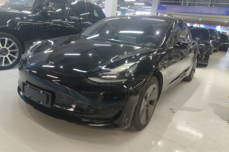 Tesla Model 3 2021 #2 Tesla Model 3 2021 car image #2