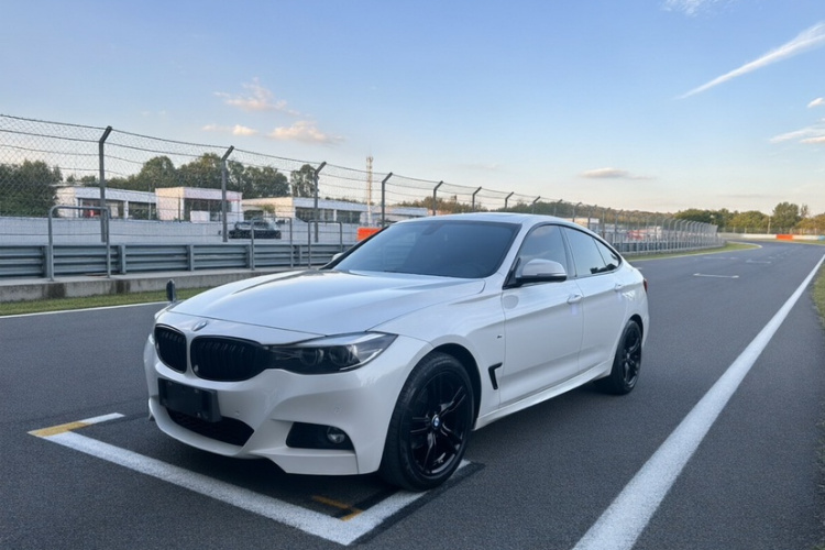 BMW 3 Series GT 2019 #8 BMW 3 Series GT 2019 imagen de coche #8