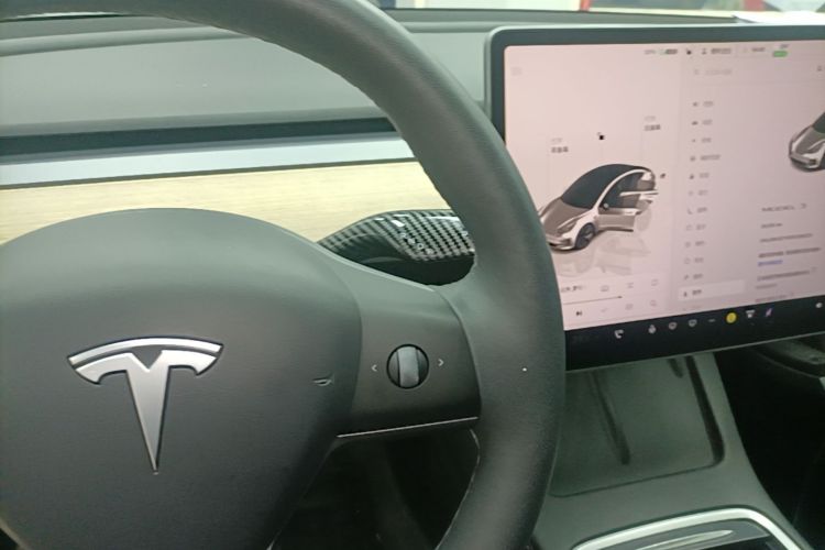 Tesla Model 3 2023 immagine di auto #14