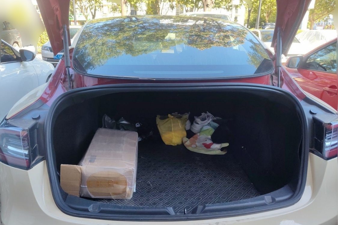 Tesla Model 3 2020 car image #8