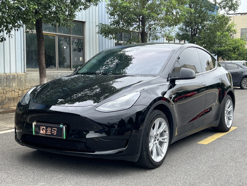 Tesla Model Y 2023 Tesla Model Y 2023 car image