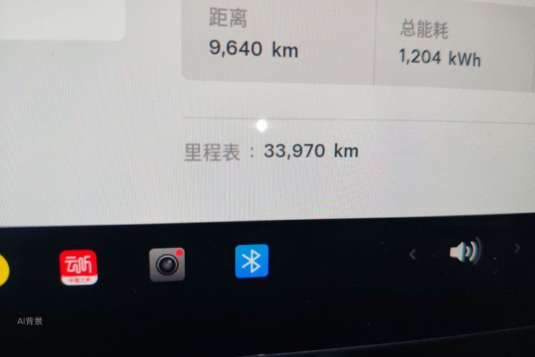 Tesla Model 3 2024 car image #14