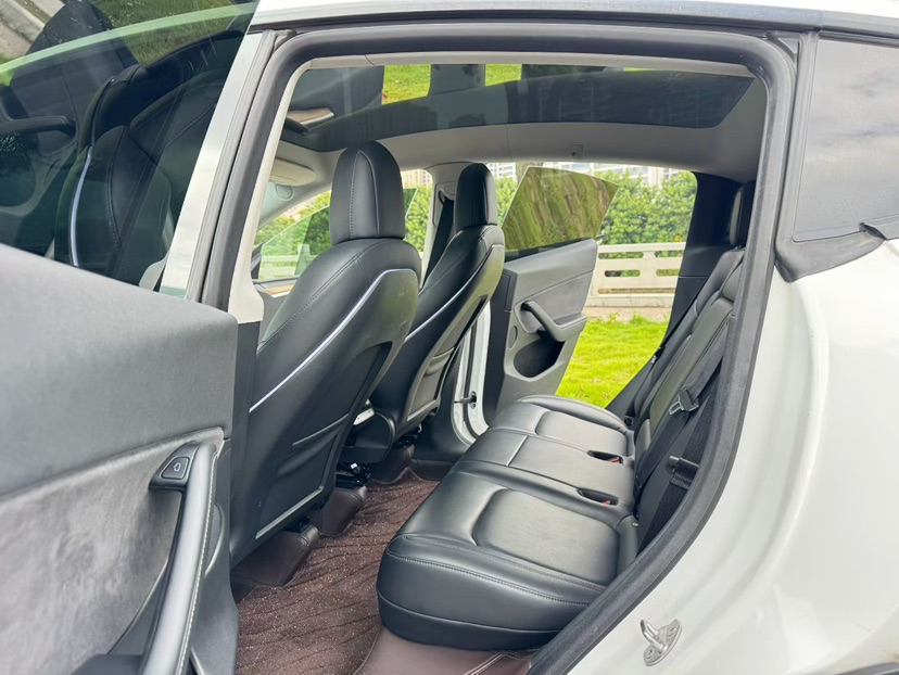 Tesla Model Y 2021 car image #8
