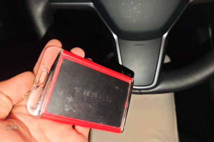 Tesla Model 3 2020 car image #10
