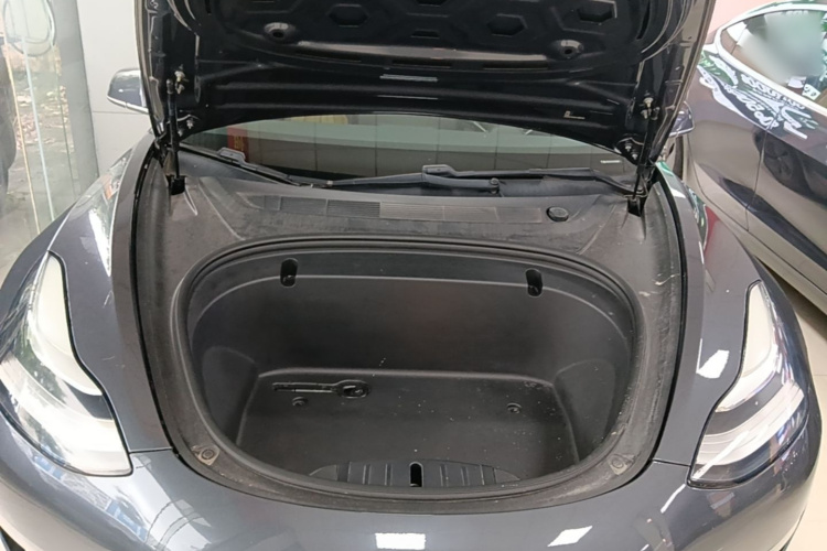 Tesla Model 3 2020 car image #20