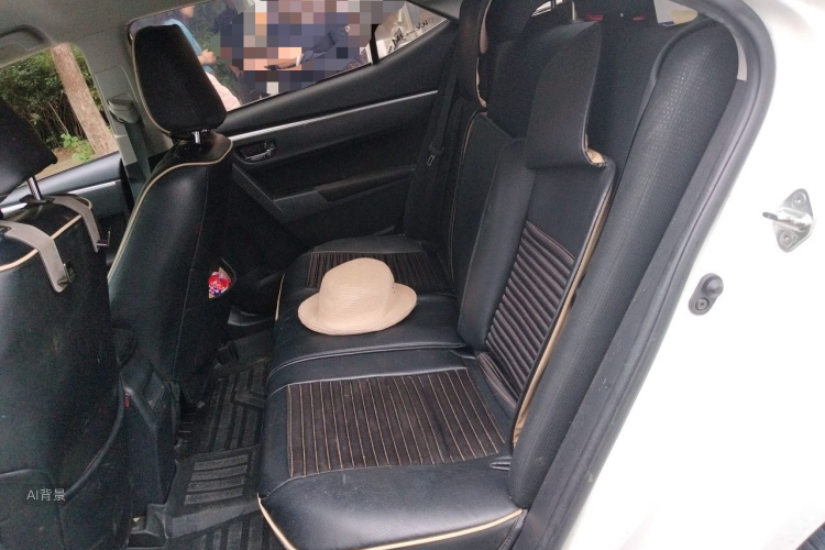 Toyota Corolla 2018 car image #19