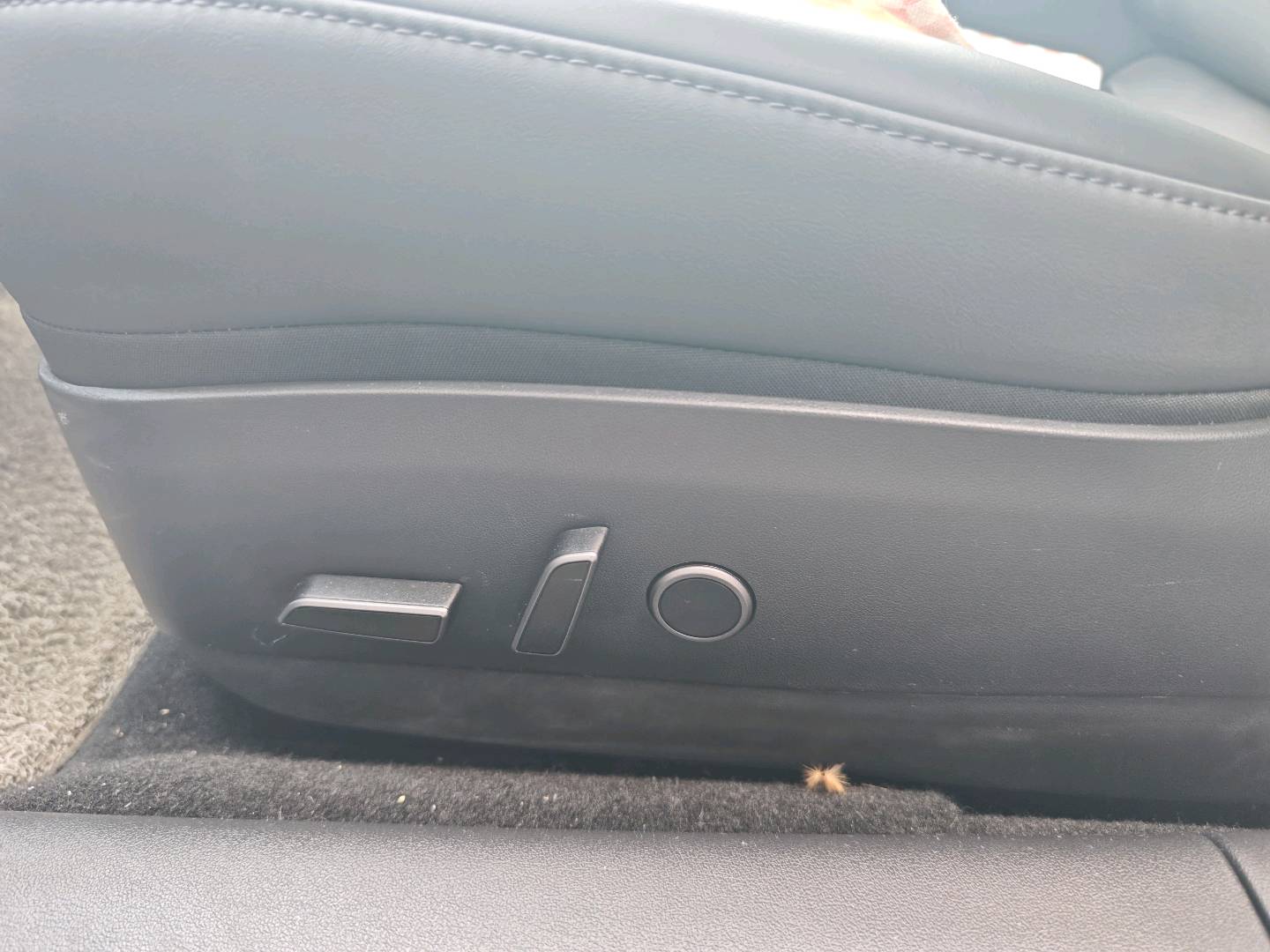 Tesla Model 3 2021 car image #12