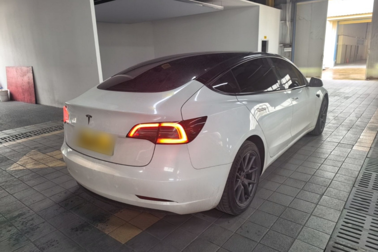 Tesla Model 3 2021 #7 Tesla Model 3 2021 car image #7