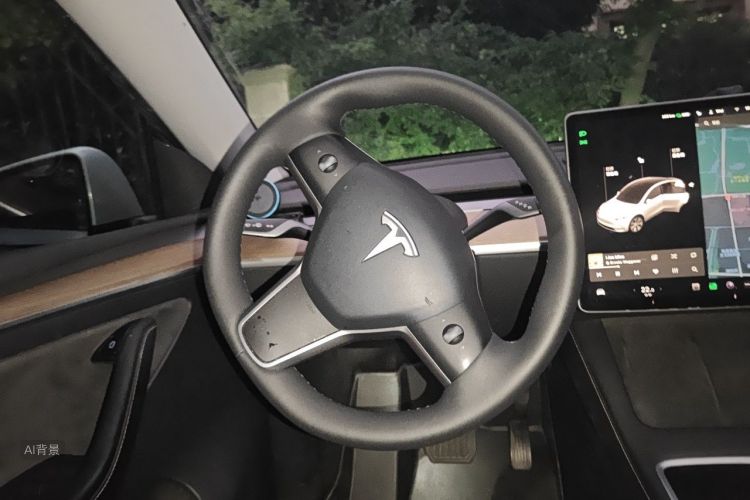 Tesla Model Y 2021 #12 Tesla Model Y 2021 car image #12