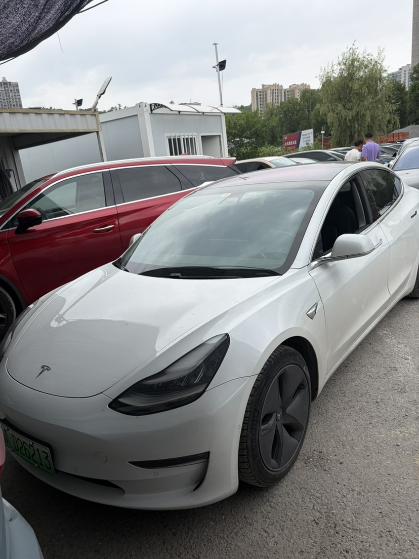 Tesla Model 3 (Imported) 2019 car image 