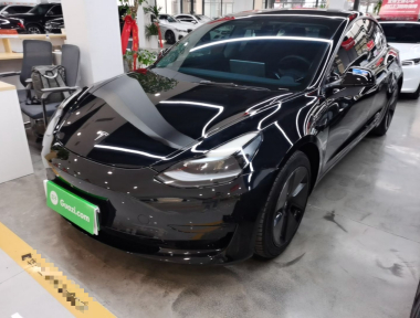 Tesla Model 3 2021 immagine di auto 