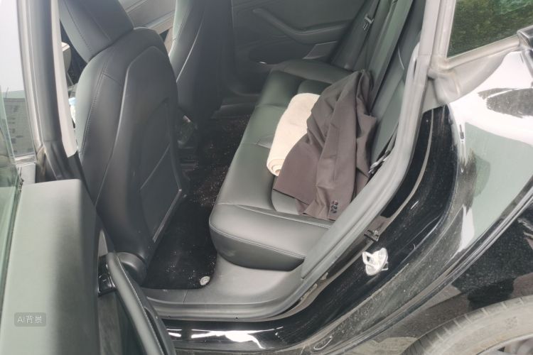 Tesla Model 3 2020 car image #19