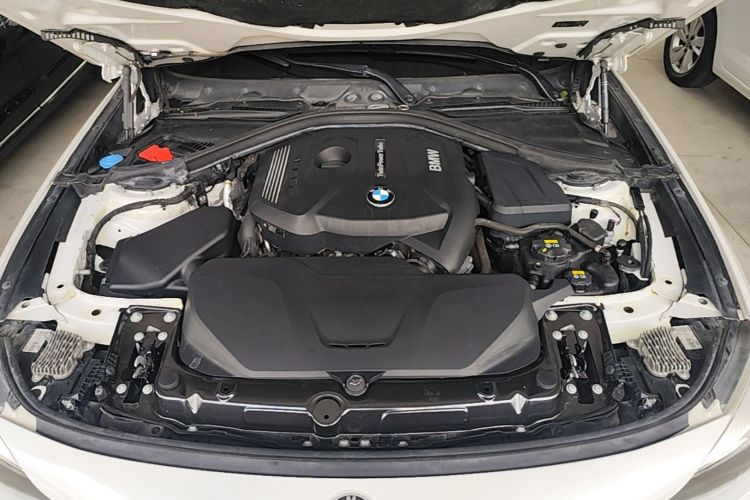 BMW 3 Series GT 2018 car image #20