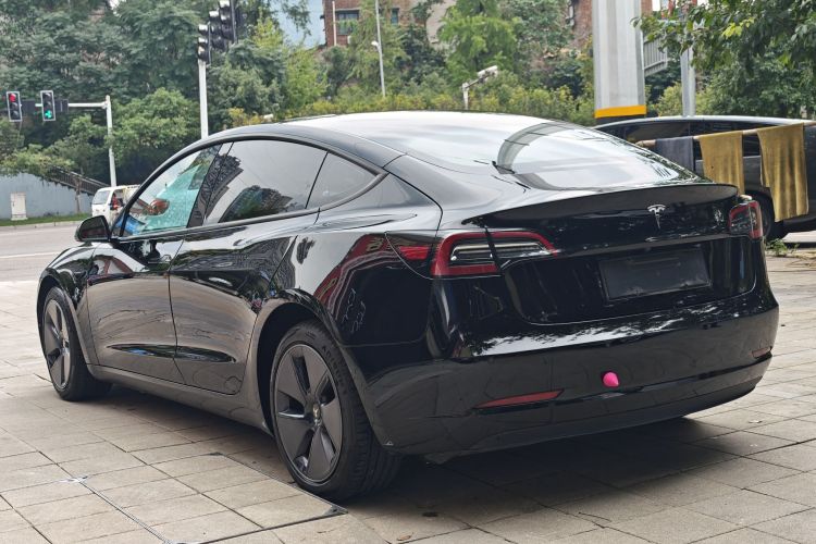 Tesla Model 3 2021 imagem de carro #11