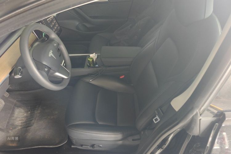 Tesla Model 3 2021 car image #17