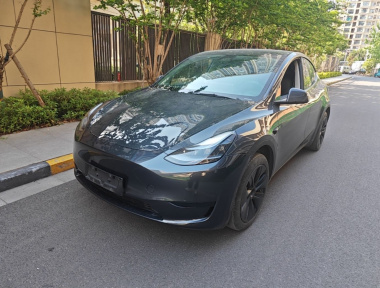 Tesla Model Y 2024 car image 