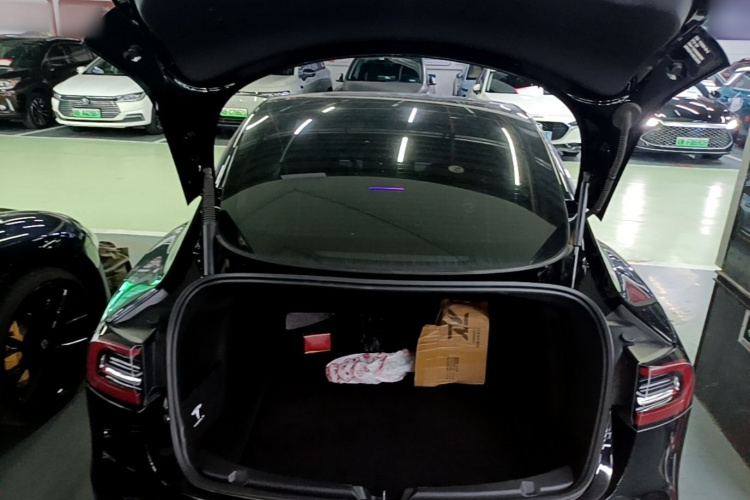 Tesla Model 3 2021 car image #22