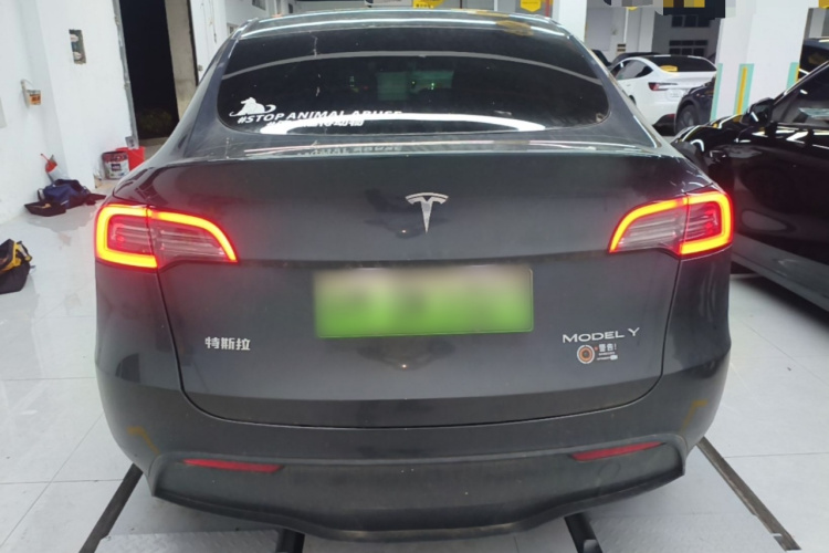 Tesla Model Y 2024 immagine di auto #6