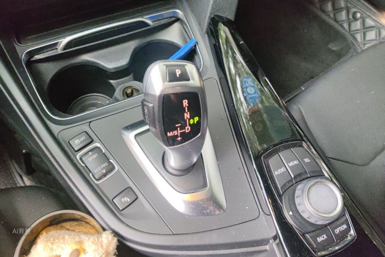 BMW 3 Series 2016 car image #16