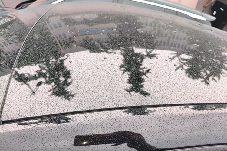 Tesla Model Y 2023 car image #25