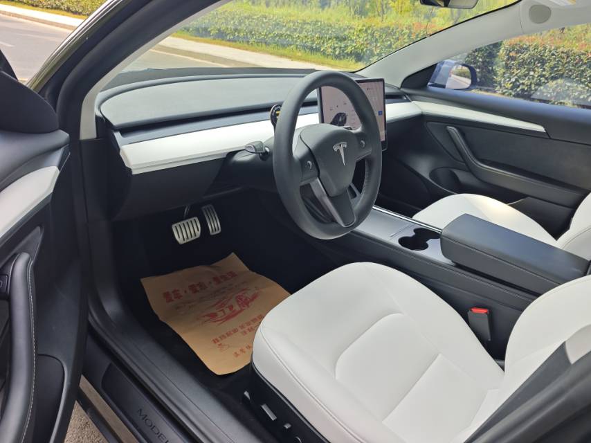 Tesla Model 3 2021 #4 Tesla Model 3 2021 car image #4