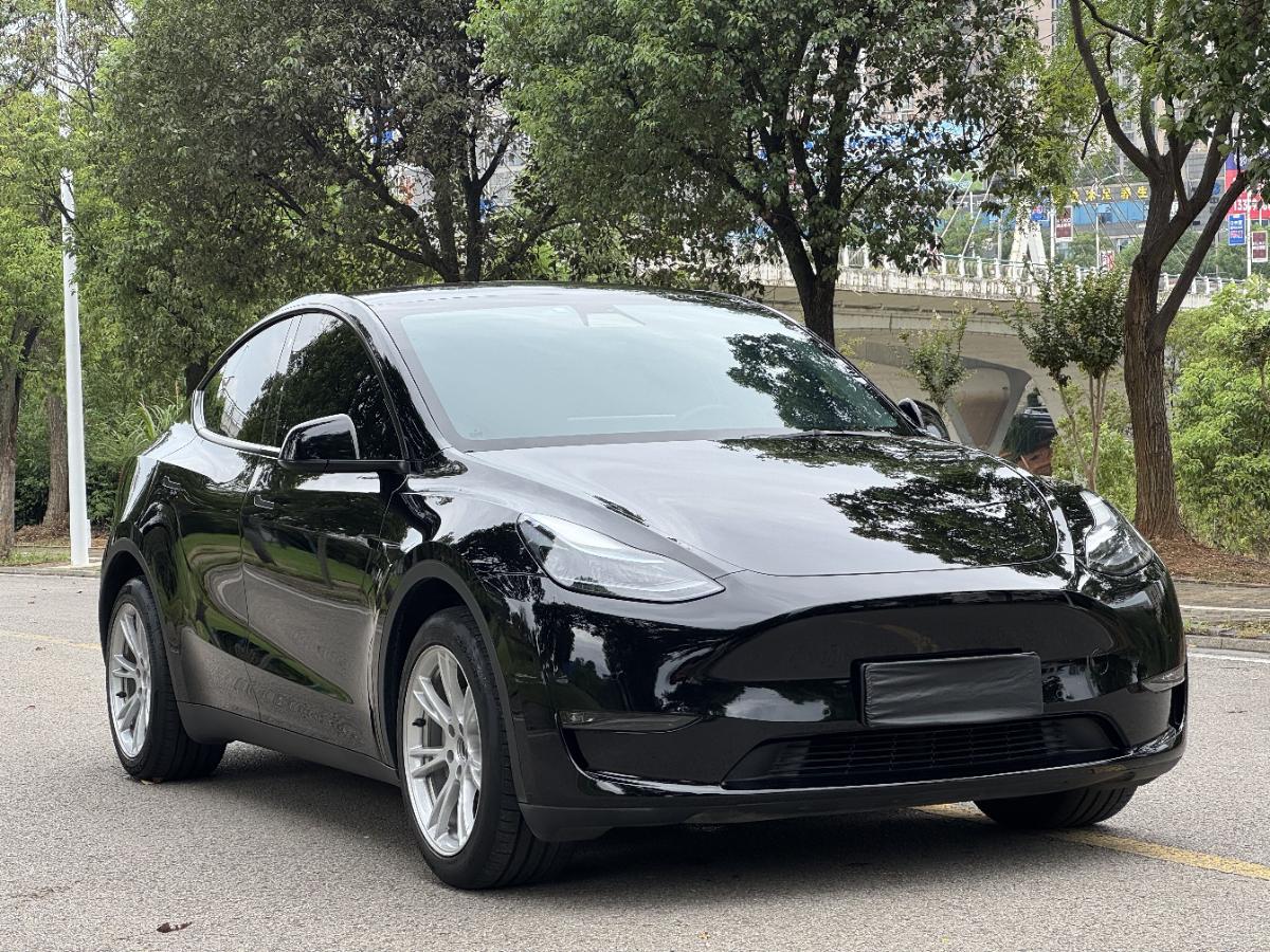 Tesla Model Y 2023 car image #3