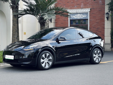 Tesla Model Y 2022 car image 