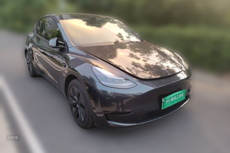 Tesla Model Y 2024 car image #4