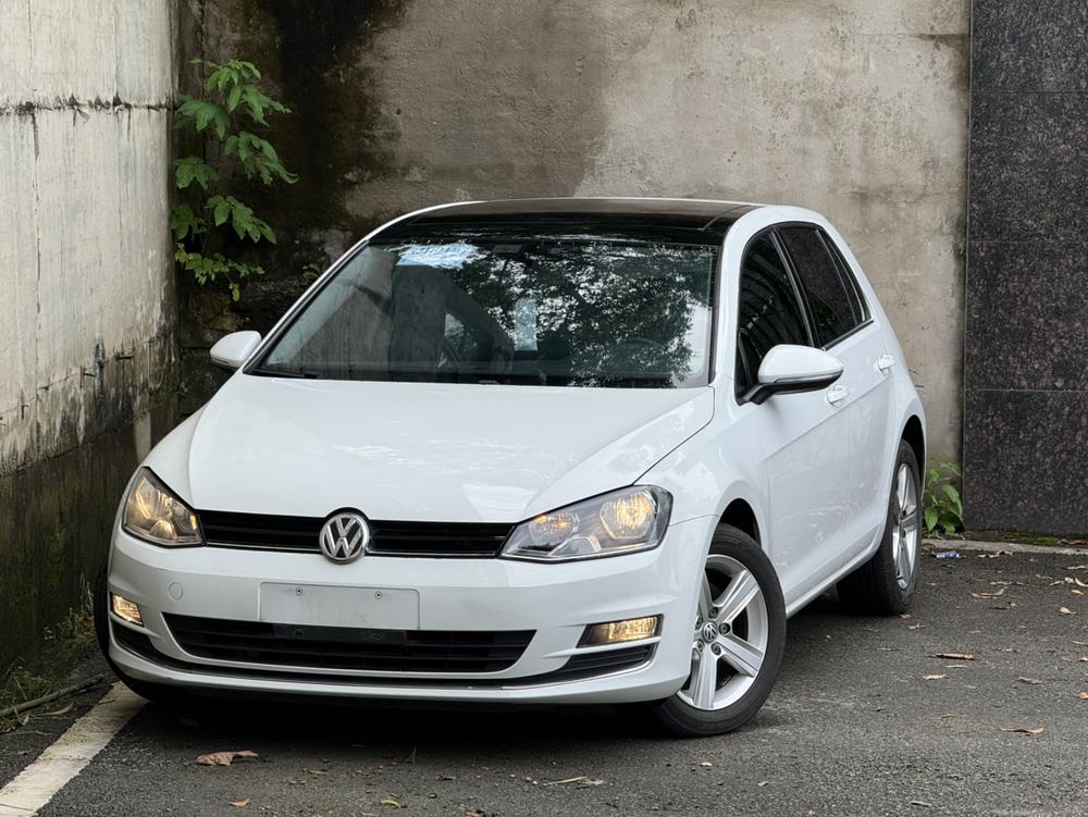 Volkswagen Golf 2014 Volkswagen Golf 2014 汽车图片