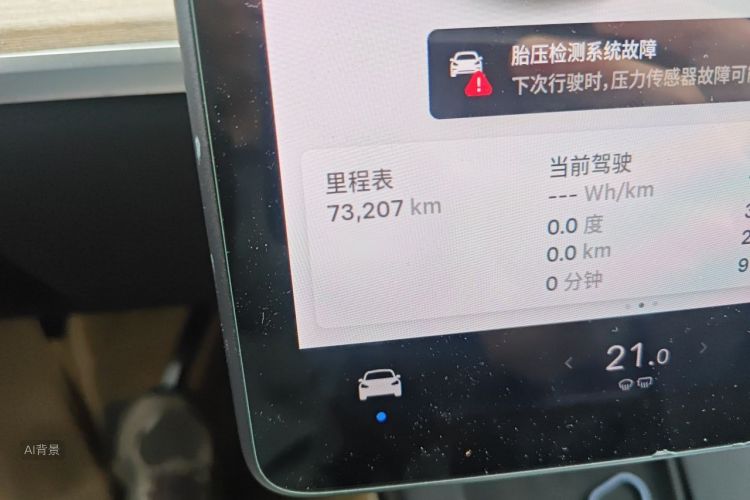 Tesla Model Y 2021 car image #14