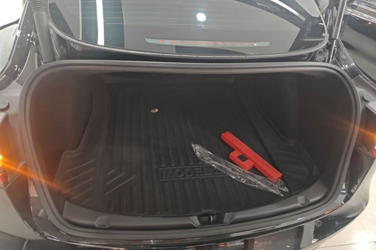 Tesla Model 3 2021 #21 Tesla Model 3 2021 car image #21
