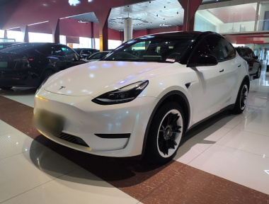 Tesla Model Y 2023 Tesla Model Y 2023 car image