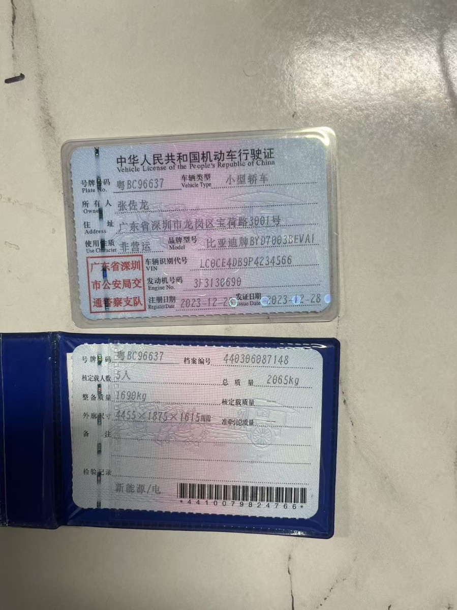 BYD Yuan Plus 2023 #8 BYD Yuan Plus 2023 immagine di auto #8