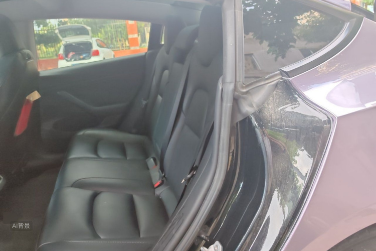 Tesla Model 3 2021 #19 Tesla Model 3 2021 car image #19