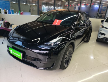 Tesla Model Y 2023 Tesla Model Y 2023 car image