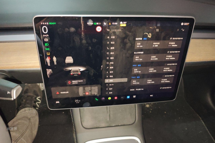 Tesla Model 3 2021 изображение автомобиля #15