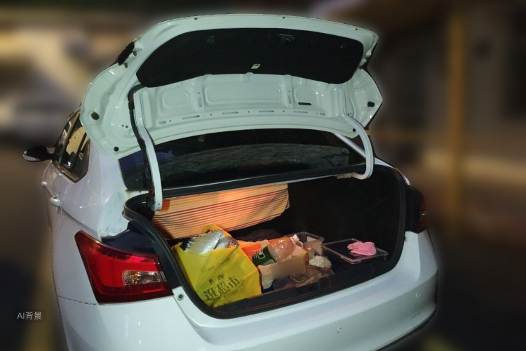 Chery Arrizo 5 2020 car image #21