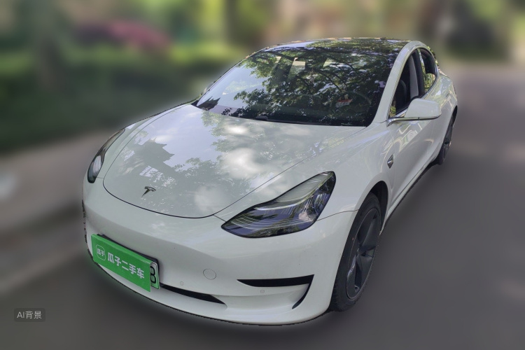 Tesla Model 3 2020 #2 Tesla Model 3 2020 car image #2