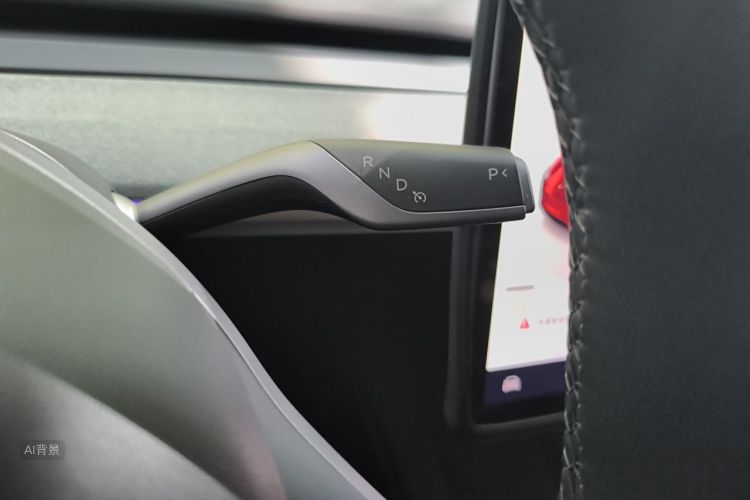 Tesla Model Y 2024 car image #16