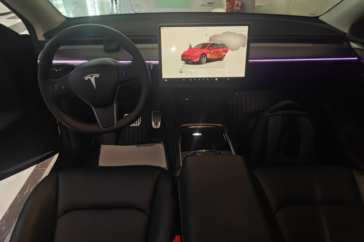 Tesla Model Y 2024 car image #10