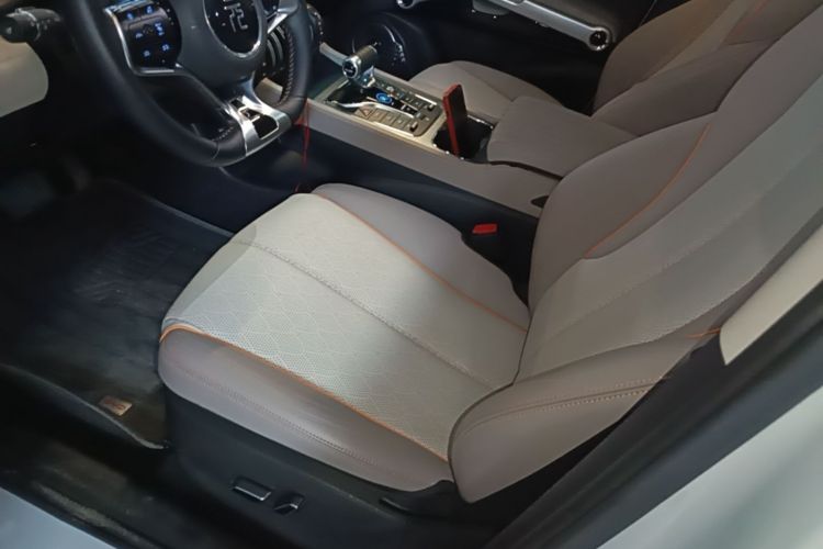 BYD Yuan Plus 2024 car image #19
