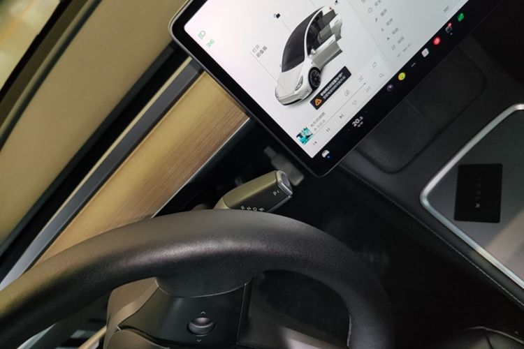 Tesla Model Y 2021 car image #14