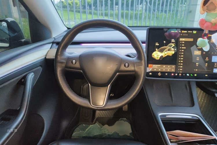 Tesla Model Y 2021 car image #12