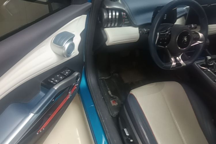 BYD Yuan Plus 2022 car image #16